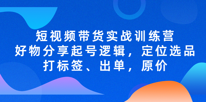 短视频带货实战训练营，好物分享起号逻辑，定位选品打标签、出单，原价-时尚博客