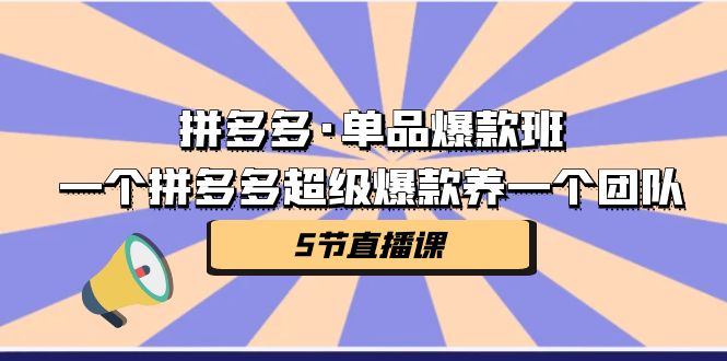 拼多多·单品爆款班，一个拼多多超级爆款养一个团队（5节直播课）-时尚博客