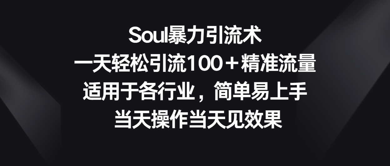 Soul暴力引流术，一天轻松引流100＋精准流量，适用于各行业，简单易上手！-时尚博客