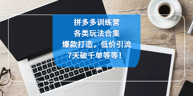 拼多多训练营：各玩法合集，爆款打造，低价引流，7天破千单等等！-时尚博客