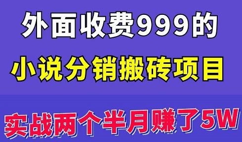 外面收费999的小说分销搬砖项目：实战两个半月赚了5W块，操作简单！￼-时尚博客