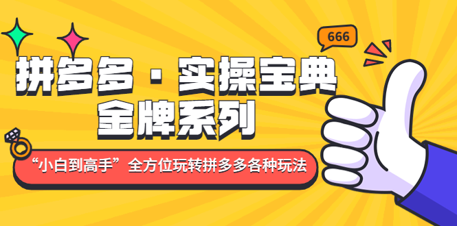 拼多多·实操宝典：金牌系列“小白到高手”带你全方位玩转拼多多各种玩法-时尚博客