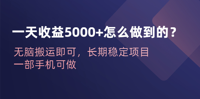 一天收益5000+怎么做到的？无脑搬运即可，长期稳定项目，一部手机可做-时尚博客