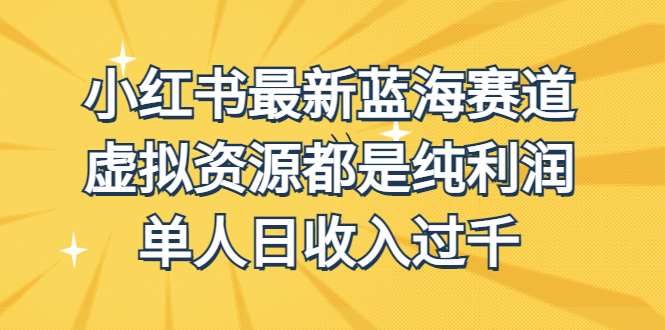 外面收费1980的小红书最新蓝海赛道，虚拟资源都是纯利润，单人日收入过千-时尚博客