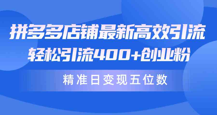 （10041期）拼多多店铺最新高效引流术，轻松引流400+创业粉，精准日变现五位数！-时尚博客