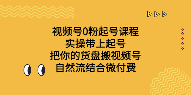 视频号0粉起号课程 实操带上起号 把你的货盘搬视频号 自然流结合微付费-时尚博客