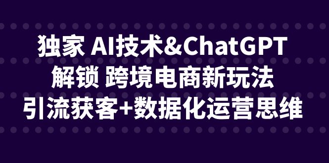 独家 AI技术&ChatGPT解锁 跨境电商新玩法，引流获客+数据化运营思维-时尚博客