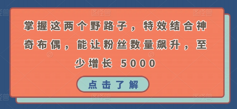 掌握这两个野路子，特效结合神奇布偶，能让粉丝数量飙升，至少增长 5000-时尚博客