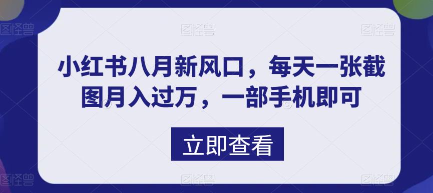 八月新风口，小红书虚拟项目一天收入1000+，实战揭秘-时尚博客