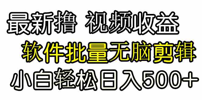 （9569期）发视频撸收益，软件无脑批量剪辑，第一天发第二天就有钱-时尚博客