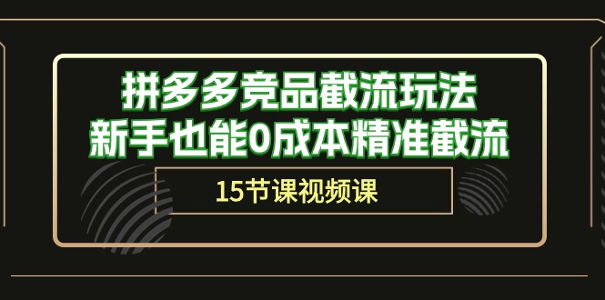 拼多多竞品截流玩法，新手也能0成本精准截流（15节课）-时尚博客