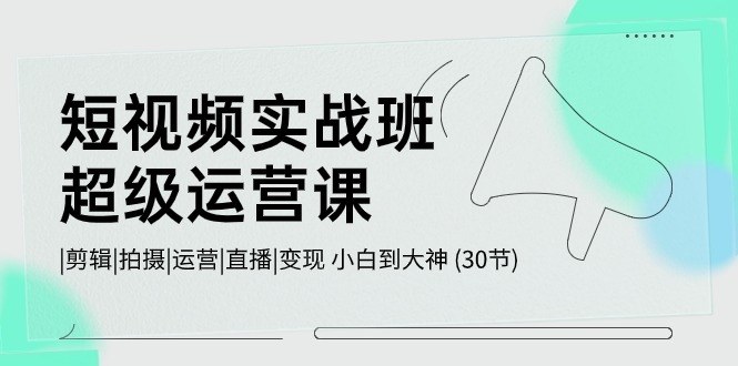 短视频实战班超级运营课 |剪辑|拍摄|运营|直播|变现 小白到大神 (30节)-时尚博客