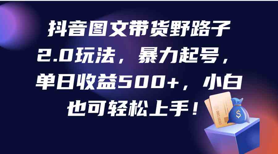 （9790期）抖音图文带货野路子2.0玩法，暴力起号，单日收益500+，小白也可轻松上手！-时尚博客