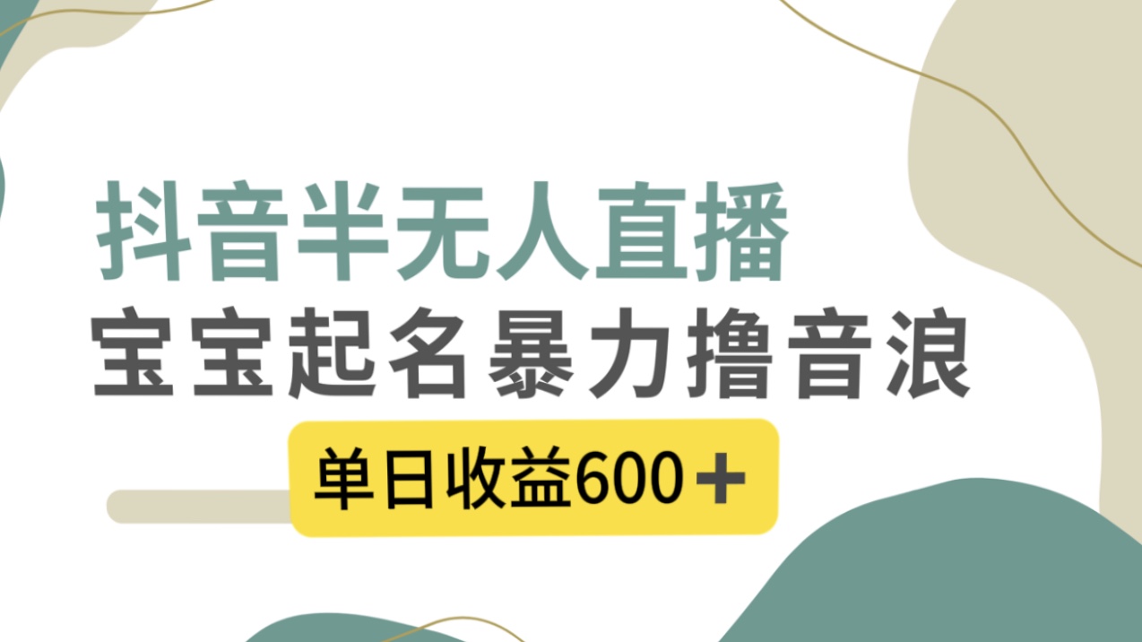 抖音半无人直播，宝宝起名，暴力撸音浪，单日收益600+-时尚博客