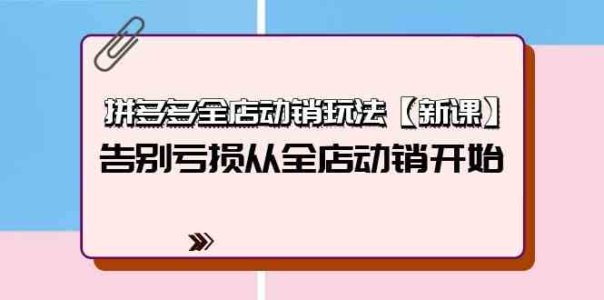 （9974期）拼多多全店动销玩法【新课】，告别亏损从全店动销开始（4节视频课）-时尚博客