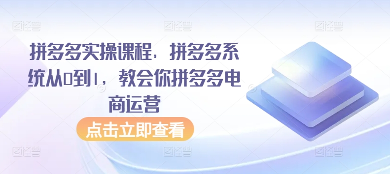 拼多多实操课程，拼多多系统从0到1，教会你拼多多电商运营-时尚博客