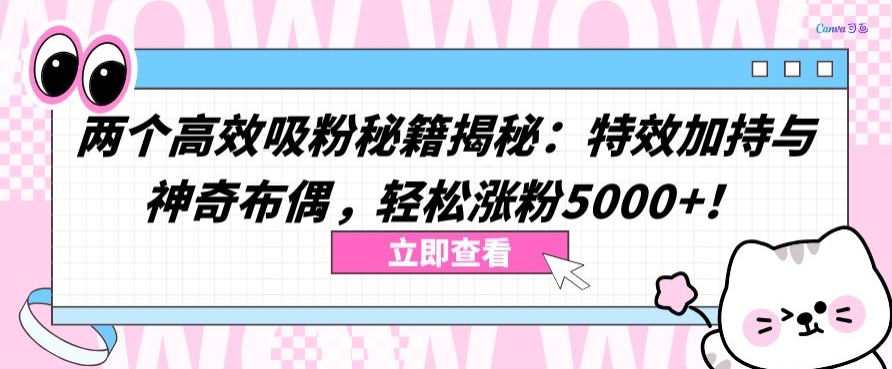 两个高效吸粉秘籍揭秘：特效加持与神奇布偶，轻松涨粉5000+-时尚博客