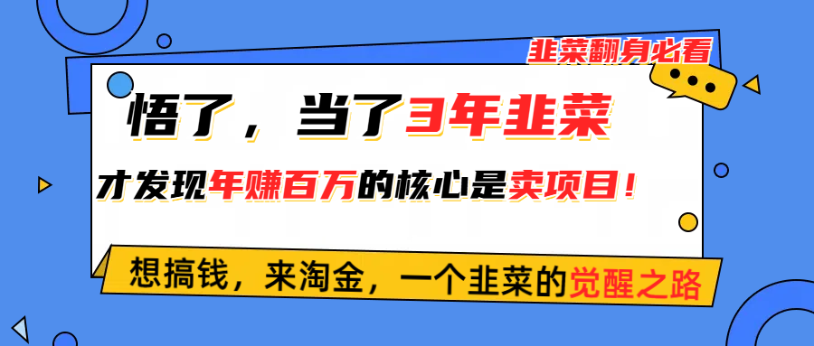 （10759期）悟了，当了3年韭菜，才发现网赚圈年赚100万的核心是卖项目，含泪分享！-时尚博客