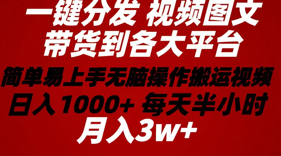 （10667期）2024年 一键分发带货图文视频  简单易上手 无脑赚收益 每天半小时日入1…-时尚博客