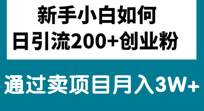 （10843期）新手小白日引流200+创业粉,通过卖项目月入3W+-时尚博客