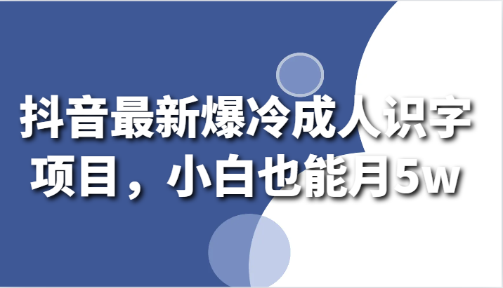 抖音最新爆冷成人识字项目，小白也能月5w-时尚博客