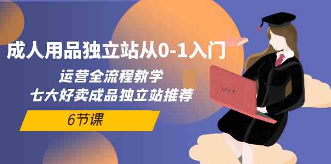 （10082期）成人用品独立站从0-1入门，运营全流程教学，七大好卖成品独立站推荐-6节课-时尚博客