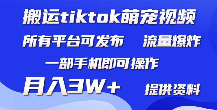 （9618期）搬运Tiktok萌宠类视频，一部手机即可。所有短视频平台均可操作，月入3W+-时尚博客