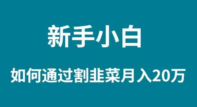 （9308期）新手小白如何通过割韭菜月入 20W-时尚博客