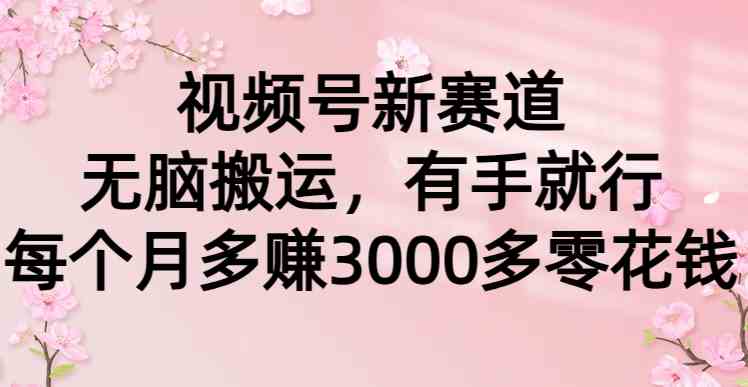 （9277期）视频号新赛道，无脑搬运，有手就行，每个月多赚3000多零花钱-时尚博客