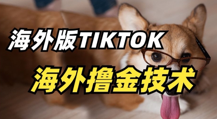 抖音海外版tiktok撸金技术，这个风口行业，赚钱真的不难-时尚博客