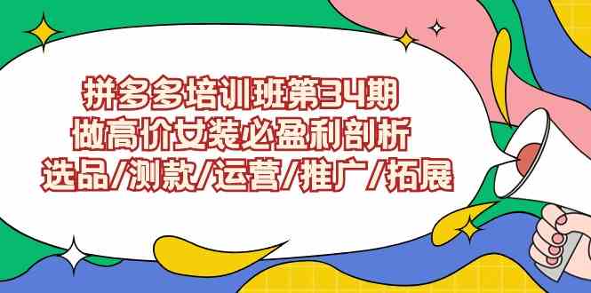 （9333期）拼多多培训班第34期：做高价女装必盈利剖析  选品/测款/运营/推广/拓展-时尚博客