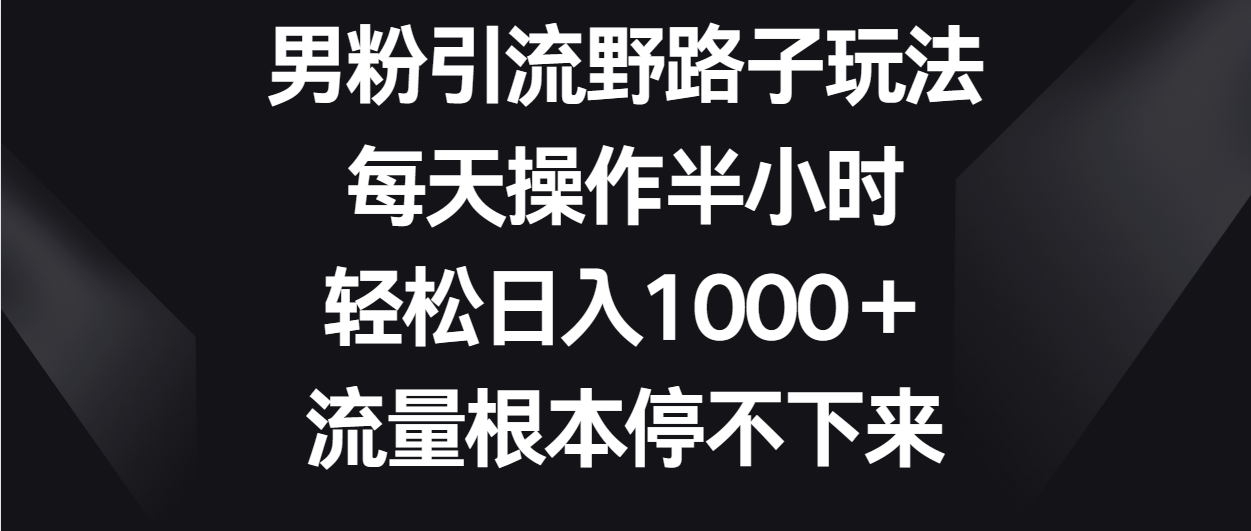 男粉引流野路子玩法，每天操作半小时轻松日入1000＋，流量根本停不下来-时尚博客