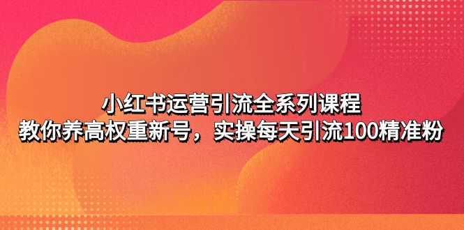 小红书运营引流全系列课程：教你养高权重新号，实操每天引流100精准粉-时尚博客