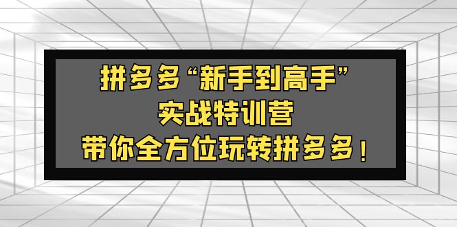 拼多多“新手到高手”实战特训营：带你全方位玩转拼多多！-时尚博客