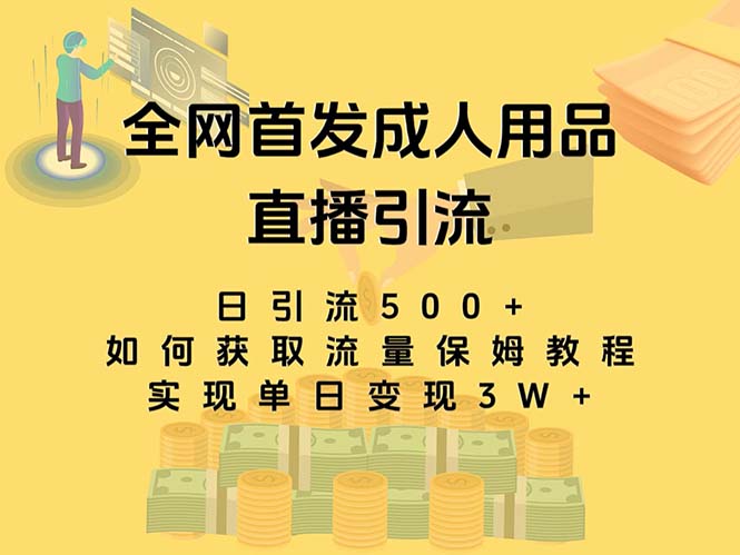 最新全网独创首发，成人用品直播引流获客暴力玩法，单日变现3w保姆级教程-时尚博客