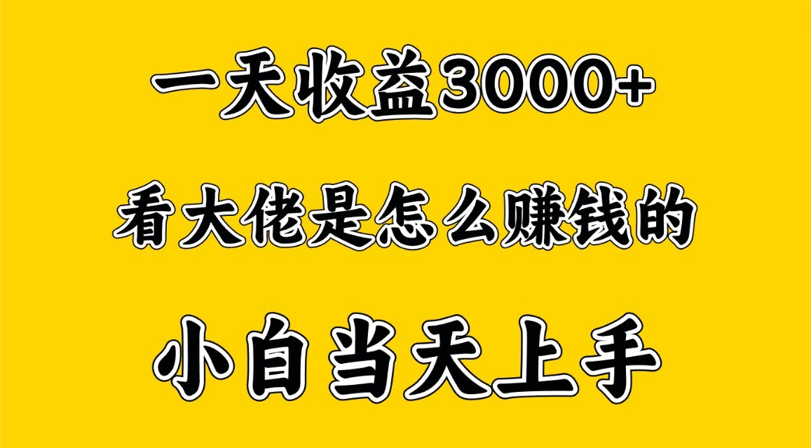 一天赚3000多，大佬是这样赚到钱的，小白当天上手，穷人翻身项目-时尚博客