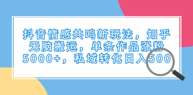 抖音情感共鸣新玩法，知乎无脑搬运，单条作品涨粉5000+，私域转化日入500-时尚博客