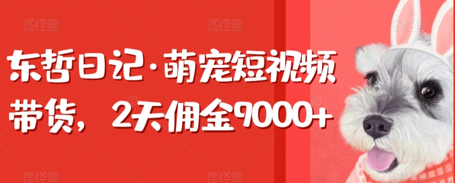 东哲日记·萌宠短视频带货，2天佣金9000+-时尚博客