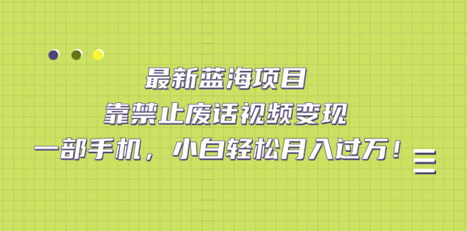 最新蓝海项目，靠禁止废话视频变现，一部手机，小白轻松月入过万！-时尚博客