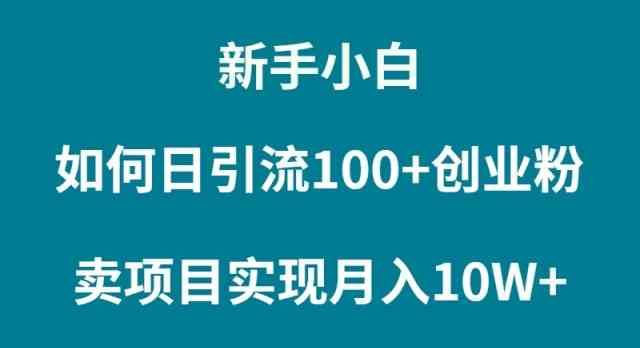 （9556期）新手小白如何通过卖项目实现月入10W+-时尚博客