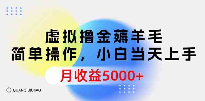 （9864期）虚拟撸金薅羊毛，简单操作，小白当天上手，月收益5000+-时尚博客