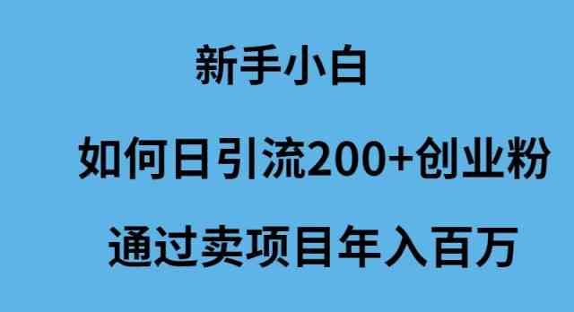 （9668期）新手小白如何日引流200+创业粉通过卖项目年入百万-时尚博客