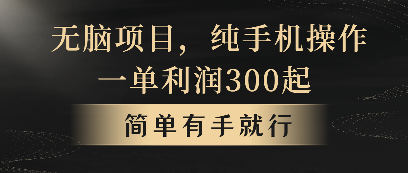 （10699期）无脑项目，一单几百块，轻松月入5w+，看完就能直接操作-时尚博客