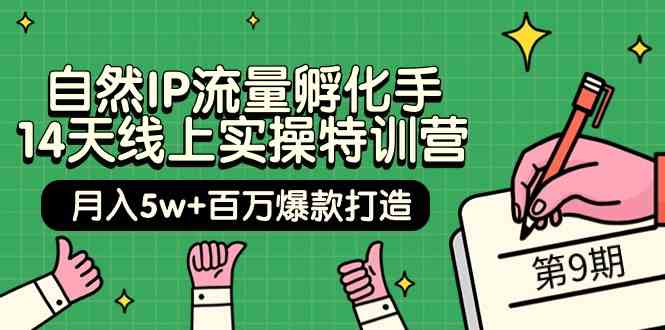 自然IP流量孵化手14天线上实操特训营【第9期】月入5w+百万爆款打造 (74节)-时尚博客