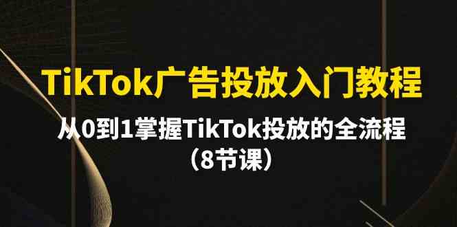 （10085期）TikTok广告投放入门教程，从0到1掌握TikTok投放的全流程（8节课）-时尚博客