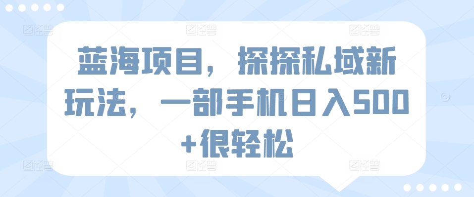 蓝海项目，探探私域新玩法，一部手机日入500+很轻松-时尚博客