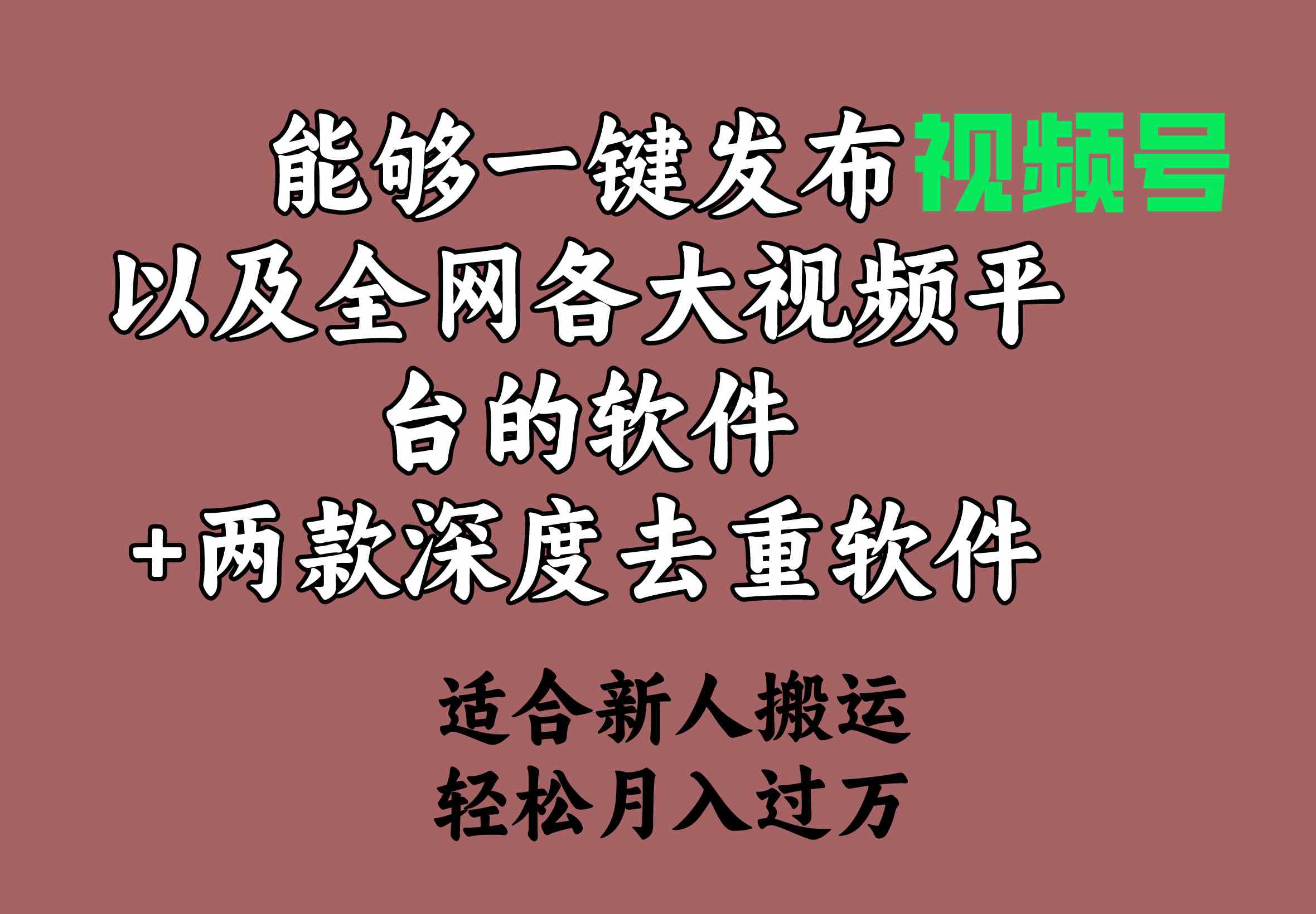 （9319期）能够一键发布视频号以及全网各大视频平台的软件+两款深度去重软件 适合…-时尚博客