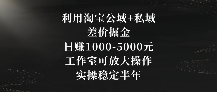 利用淘宝公域+私域差价掘金，日赚1000-5000元，工作室可放大操作，实操…-时尚博客