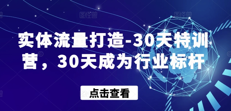 实体流量打造-30天特训营，30天成为行业标杆-时尚博客